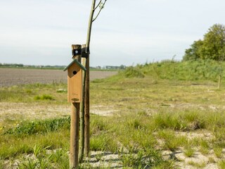 Maison de vacances Wissenkerke Environnement 37
