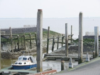 Vakantiehuis Baarland Omgeving 24