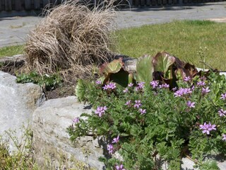 Casa per le vacanze Baarland Ambiente 35