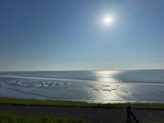 Vakantiehuis Baarland Omgeving 32