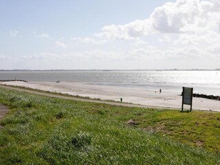 Vakantiehuis Baarland Omgeving 33