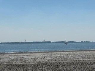 Casa per le vacanze Baarland Ambiente 36