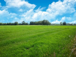 Casa per le vacanze Rheezerveen Ambiente 33