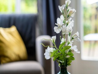 Holiday house Rheezerveen  35