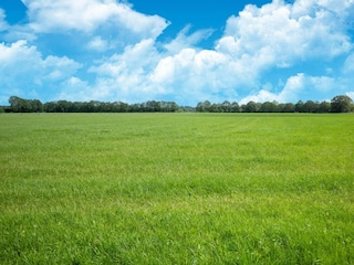 Maison de vacances Rheezerveen Environnement 33