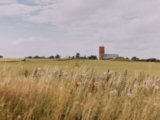 Ferienwohnung Westerland Umgebung 19