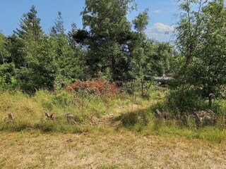 Vakantiehuis Hyldtofte  26