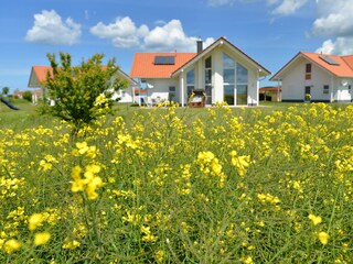 Blick auf den Garten und die Terasse