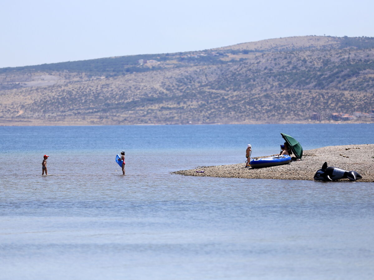 Die Sommeridylle an der Strandspitze bei uns