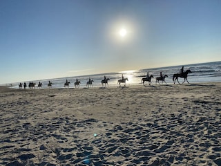 Reiter beim Sonnenuntergang