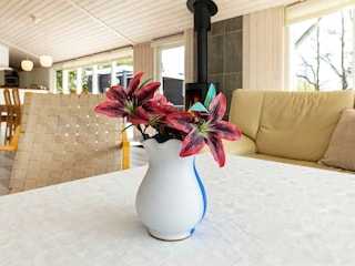 Ferienhaus Hou  20