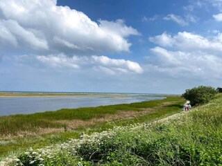 Vakantiehuis Als  17