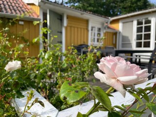 Vakantiehuis Karlskrona Buitenaudio-opname 5