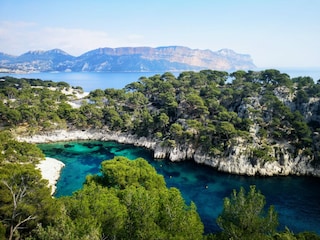 Port pin calanque