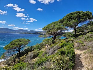 On the road of Lardier cape