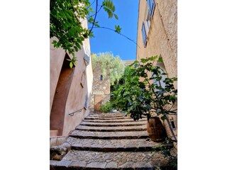 Grimaud