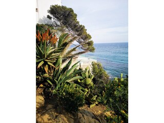 Cavalaire coastal path