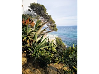 Villa La Croix-Valmer Umgebung 17