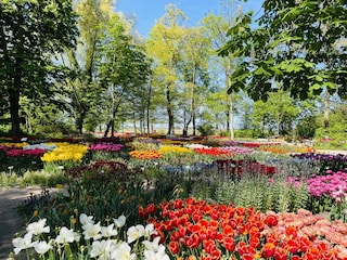 Anna Paulowna, Poldertuin Park (April/Mai) free