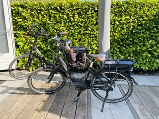 Gazelle Ebikes optional