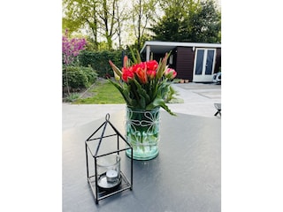 Ferienhaus Sint Maartenszee Außenaufnahme 10