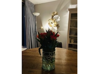 Ferienhaus Sint Maartenszee Ausstattung 22