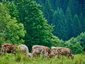 Ferienwohnung Miramonte Dolomiti