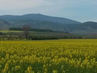 Bungalow Blankenburg Omgeving 27