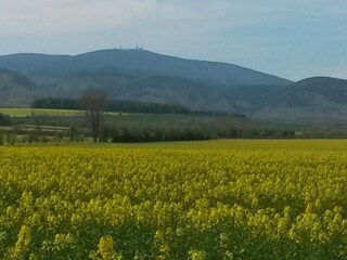 Bungalow Blankenburg Ambiente 26