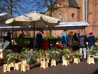 Jeden Samstag Markt in Bergen Zentrum (ganzes Jahr)