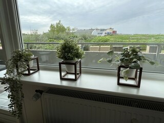 Appartamento per vacanze Borkum Caratteristiche 4