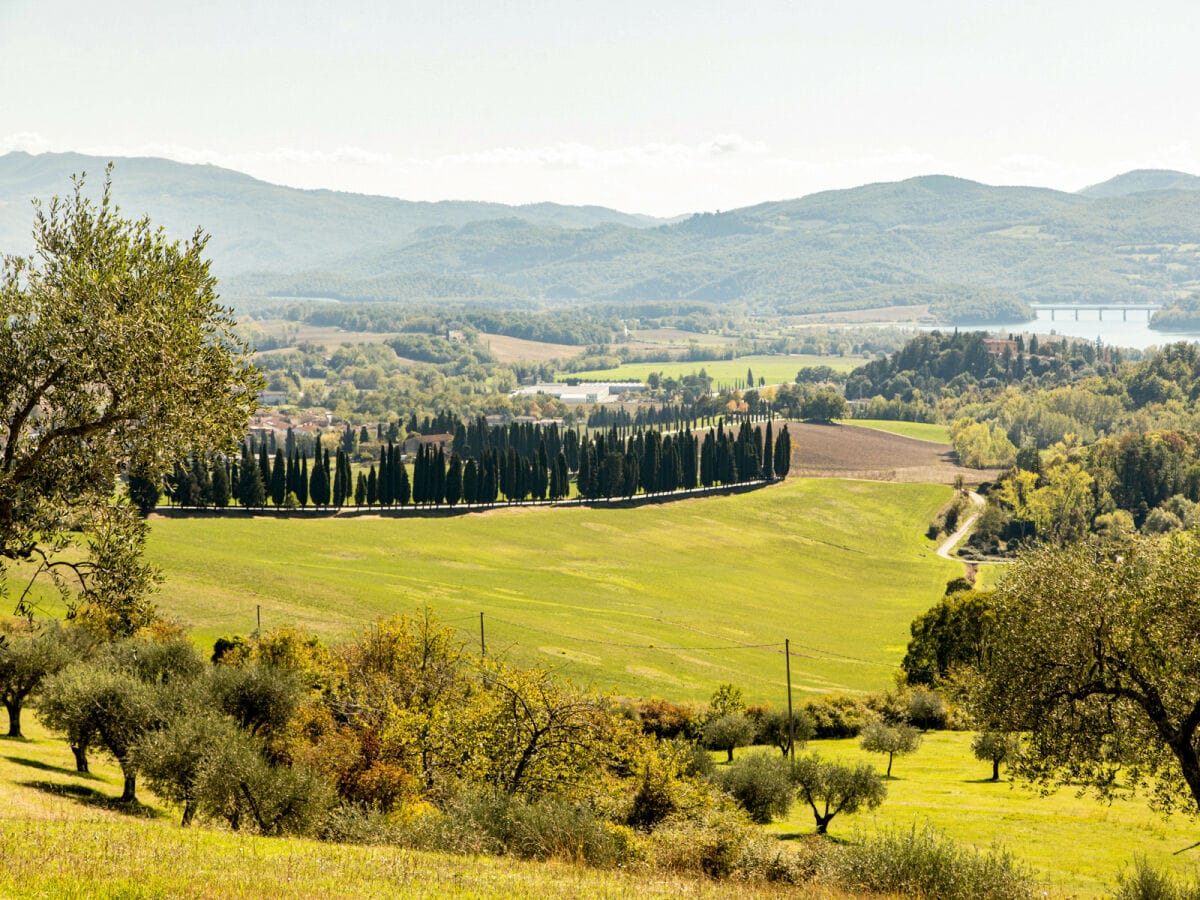 Apartment Barberino di Mugello Umgebung 52