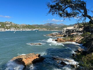 Apartment Santa Ponsa Environment 17