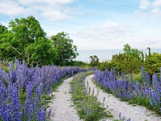 Appartement Visby  20