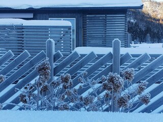 Vakantiehuis Treungen (Telemark) Buitenaudio-opname 2