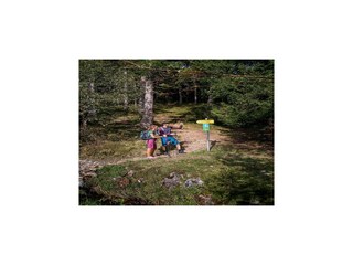 Appartement Wald im Pinzgau Environnement 21