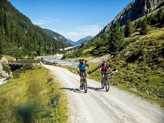 Apartamento Wald im Pinzgau Entorno 24