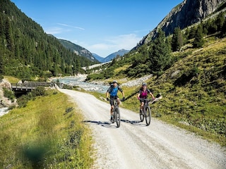 Apartment Wald im Pinzgau Umgebung 19