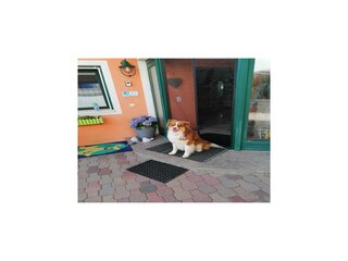 Appartement Wald im Pinzgau  30