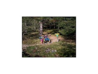 Appartamento Wald im Pinzgau Ambiente 27