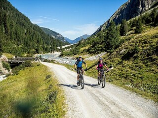 Appartement Wald im Pinzgau Environnement 26