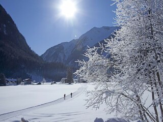 Appartement Wald im Pinzgau Environnement 22