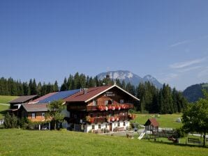 Apartment Appartement in einem charakteristische Bauernhof - Hohe Salve - image1