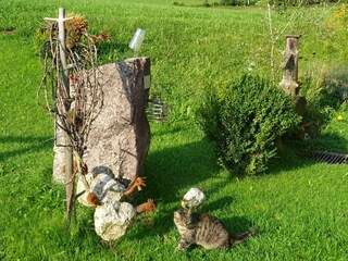 Apartment Hopfgarten im Brixental  36