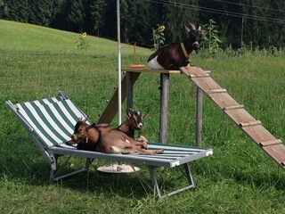 Apartment Hopfgarten im Brixental  39
