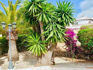 Villa Moraira Outdoor Recording 7