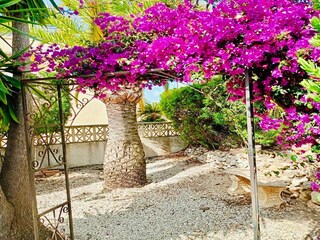 Villa Moraira Outdoor Recording 4