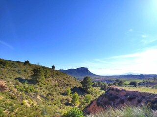 Villa Benferri Ambiente 28