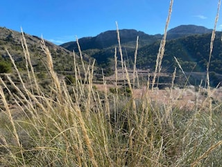 Villa Benferri Umgebung 31