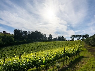 Landhaus Solfagnano Umgebung 32